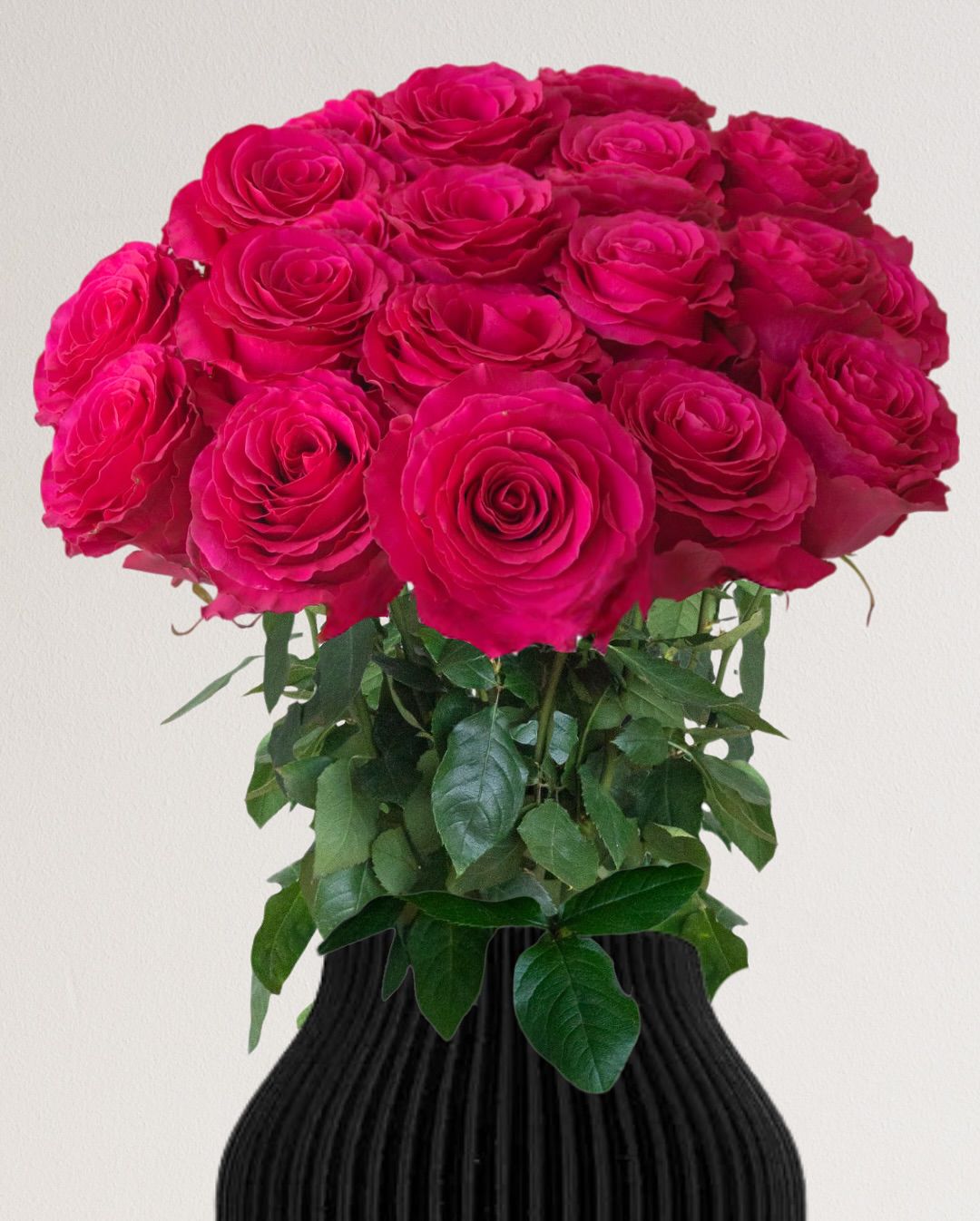 Ecuadorianische Rosen