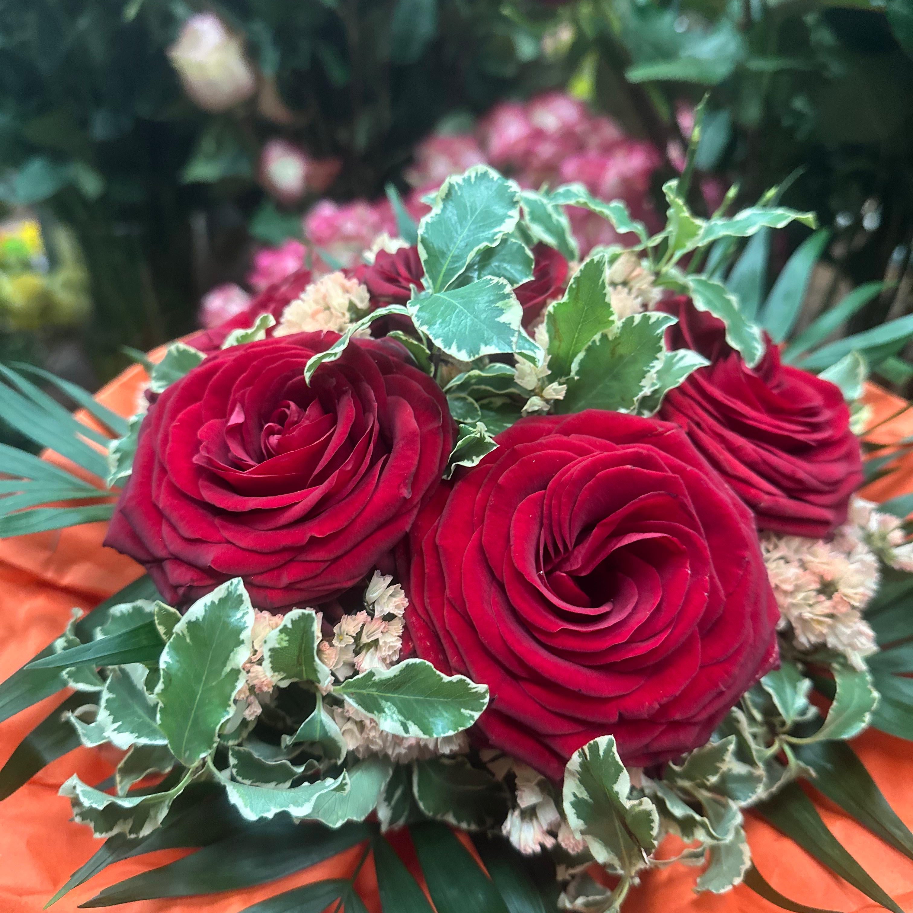 Valentinsrosen – Liebe in drei Größen